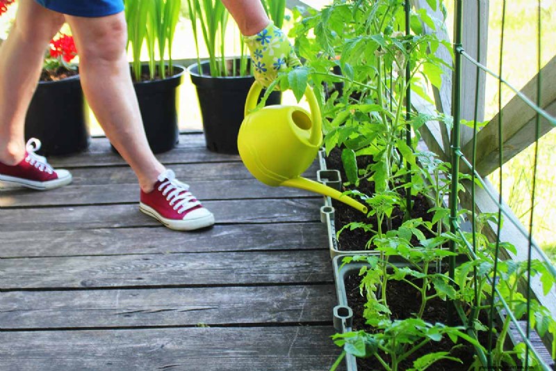 Container Gardening: Grow Fresh Vegetables Anywhere
