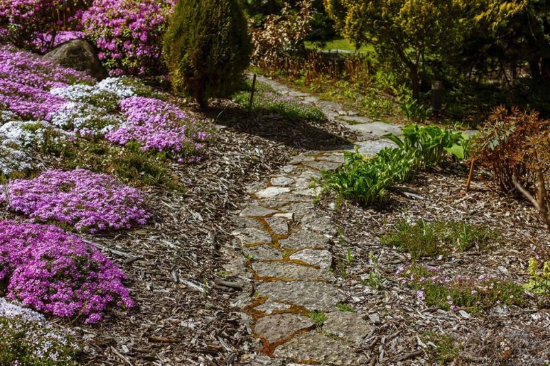 Best Flowering Ground Covers for Landscaping: 15 Top Choices