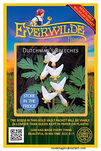 Growing Dutchman s Breeches (Dicentra cucullaria): A Beginner s Guide