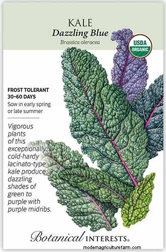 Best Leafy Greens to Grow at Home: A Comprehensive Guide