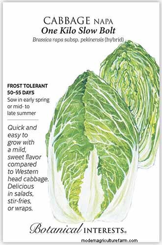 Best Leafy Greens to Grow at Home: A Comprehensive Guide