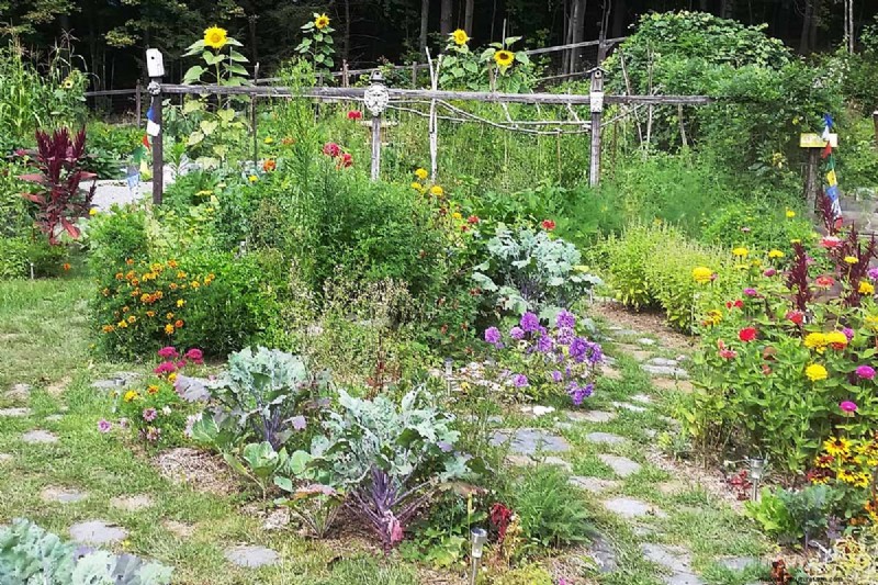 Build a Self-Sufficient Future: Your Guide to a Survival Garden