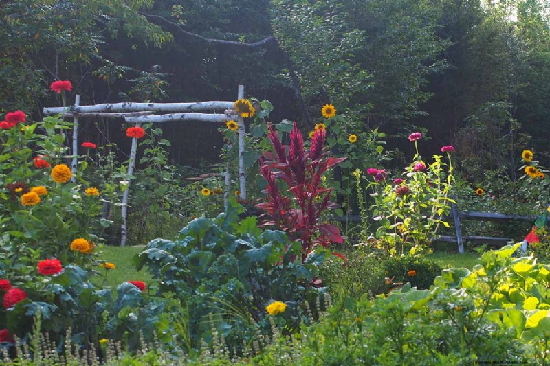 Build a Self-Sufficient Future: Your Guide to a Survival Garden