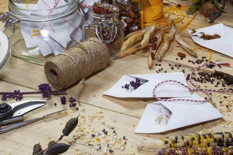 Build a Self-Sufficient Future: Your Guide to a Survival Garden