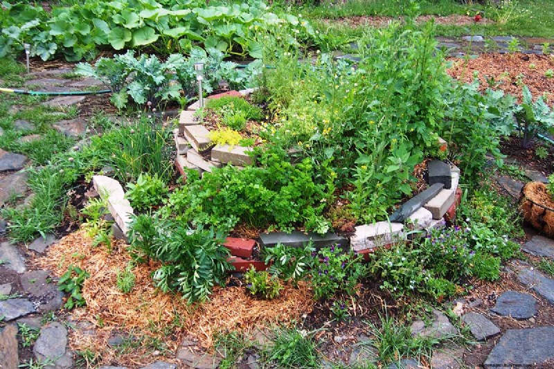 Build a Self-Sufficient Future: Your Guide to a Survival Garden