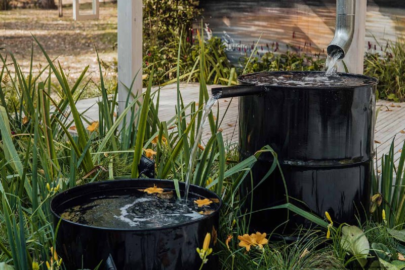 Build a Self-Sufficient Future: Your Guide to a Survival Garden