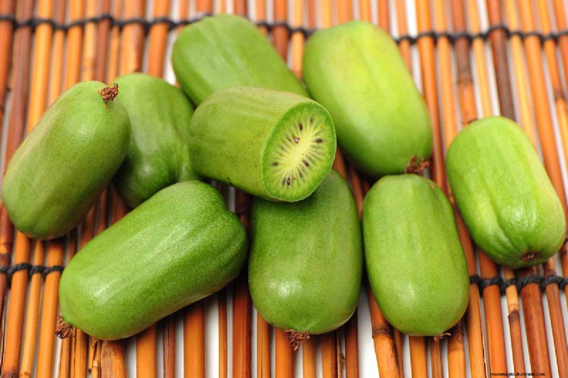 Growing Hardy Kiwi Vines: A Comprehensive Guide