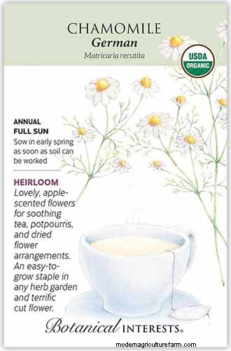 Vigorous Herbs: 21 Cultivatable Options & Careful Growing Tips