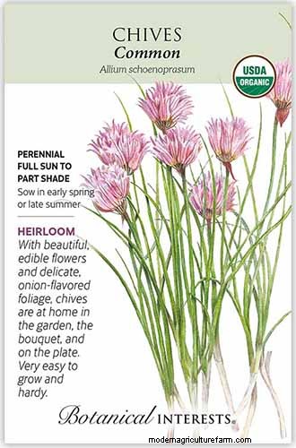 Vigorous Herbs: 21 Cultivatable Options & Careful Growing Tips