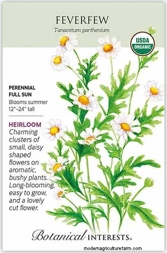 Vigorous Herbs: 21 Cultivatable Options & Careful Growing Tips