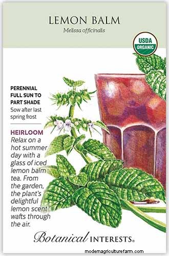 Vigorous Herbs: 21 Cultivatable Options & Careful Growing Tips