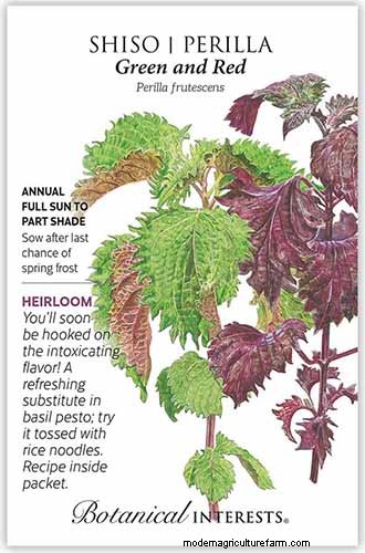 Vigorous Herbs: 21 Cultivatable Options & Careful Growing Tips