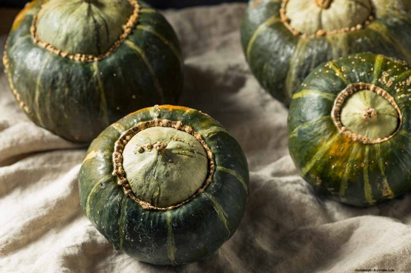 Buttercup Squash: Planting, Growing & Storage Guide