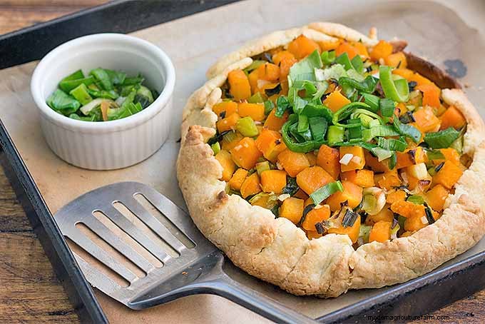 Buttercup Squash: Planting, Growing & Storage Guide