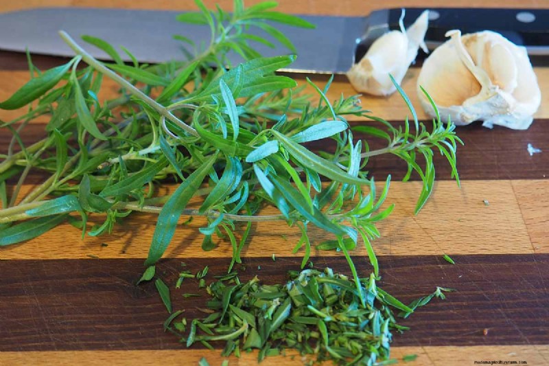 Summer Savory: Planting, Growing & Uses | [Your Brand Name]