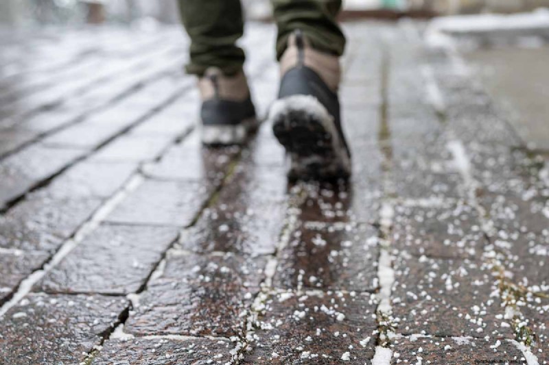 Protecting Evergreen Shrubs from Winter Damage: A Comprehensive Guide