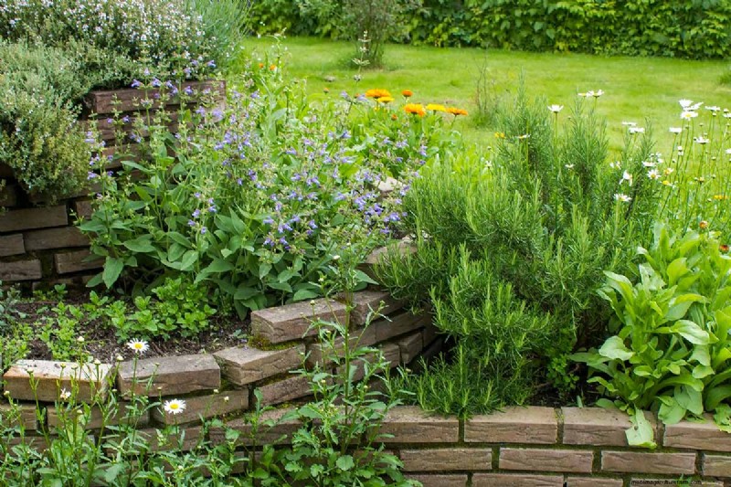 Spring Herb Garden Care: Tips for a Bountiful Harvest