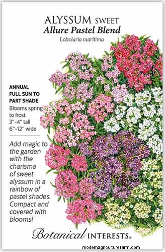 Fragrant Flowers & Shrubs: 19 Varieties to Enchant Your Garden