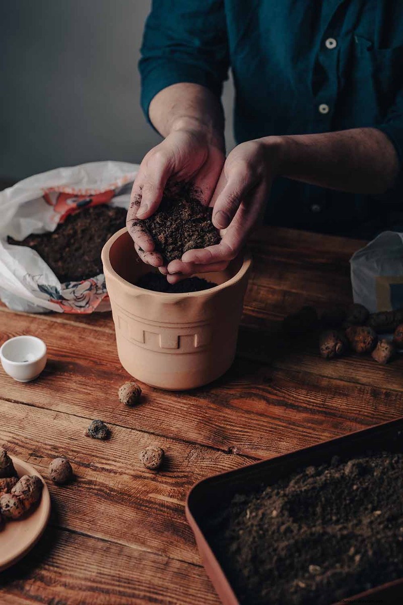 Choosing the Right Potting Soil & Containers for Healthy Houseplants
