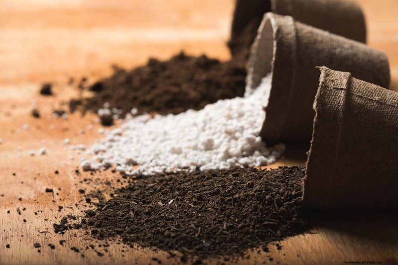 Choosing the Right Potting Soil & Containers for Healthy Houseplants