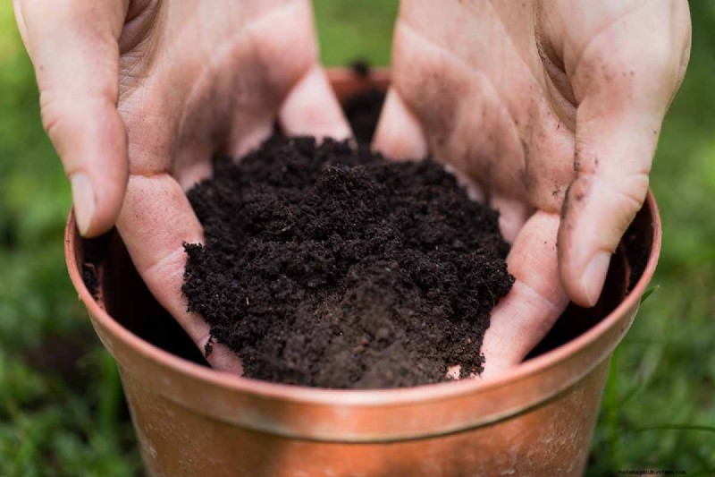 Choosing the Right Potting Soil & Containers for Healthy Houseplants
