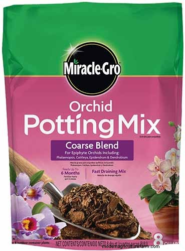 Choosing the Right Potting Soil & Containers for Healthy Houseplants