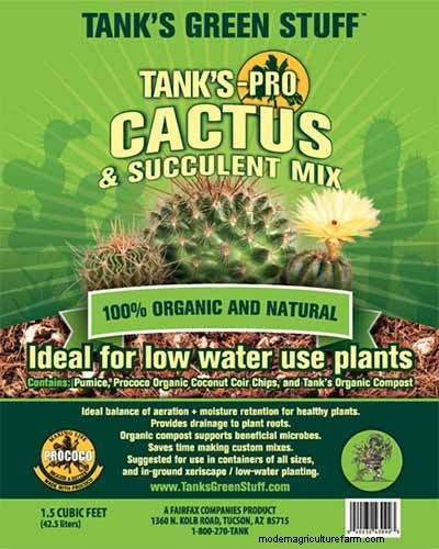 Choosing the Right Potting Soil & Containers for Healthy Houseplants