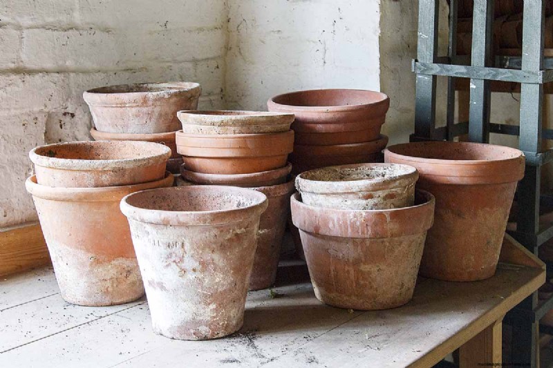Choosing the Right Potting Soil & Containers for Healthy Houseplants