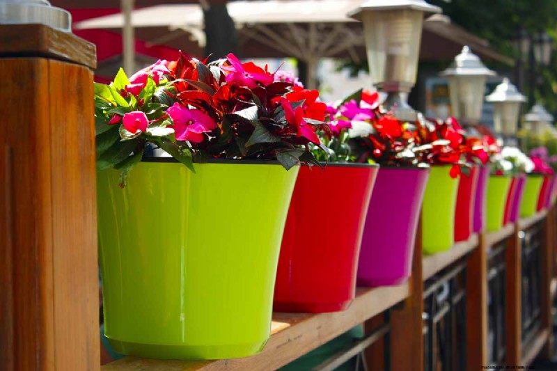 Choosing the Right Potting Soil & Containers for Healthy Houseplants
