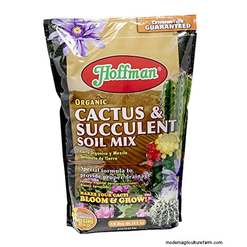 Flapjack Paddle Plant (Kalanchoe luciae): Care & Growing Guide