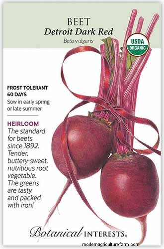 Beet Size: Root & Leaf Growth Guide | Gardening Know How