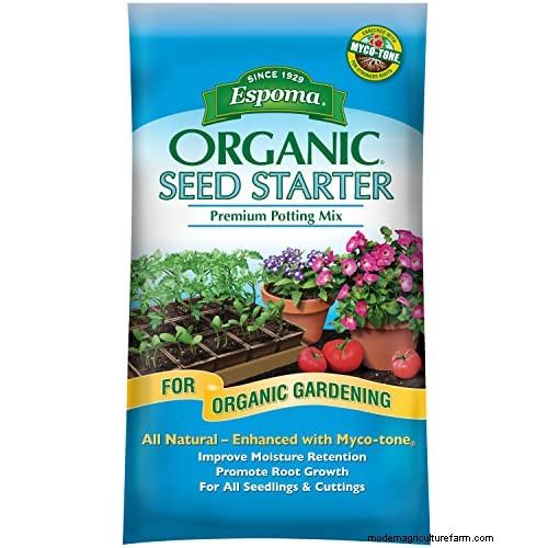 Indoor Seed Starting: A Guide to Annual Flowers, Herbs & Vegetables