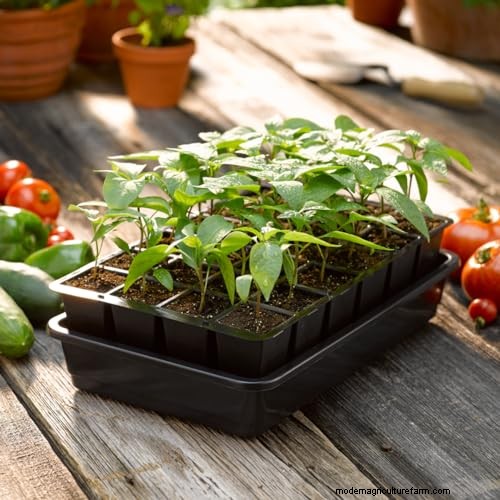 Indoor Seed Starting: A Guide to Annual Flowers, Herbs & Vegetables