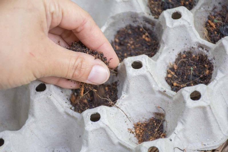 Indoor Seed Starting: A Guide to Annual Flowers, Herbs & Vegetables