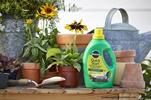 Indoor Seed Starting: A Guide to Annual Flowers, Herbs & Vegetables