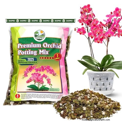 String of Nickels (Dischidia): Care & Growing Guide