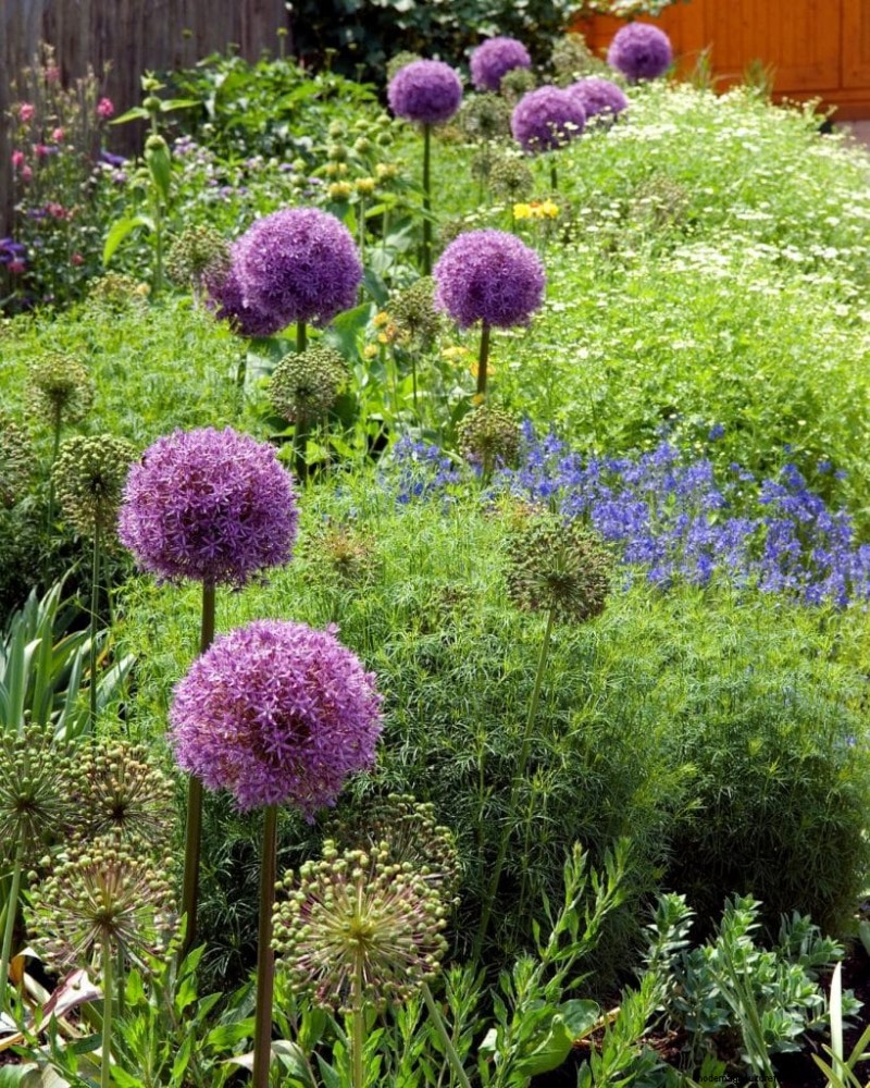 Mosquito-Repelling Plants: Create a Naturally Pest-Free Garden