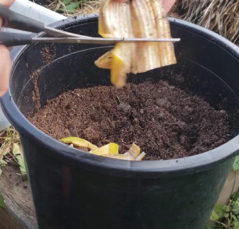 17 Expert Gardening Tips for a Bountiful Harvest