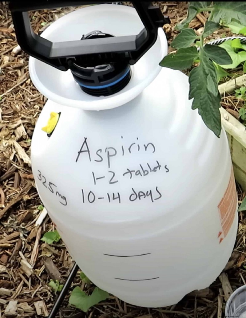 17 Expert Gardening Tips for a Bountiful Harvest