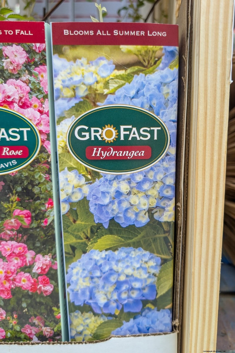 Avoid These! 8 Plants That Don t Thrive from Bare Root