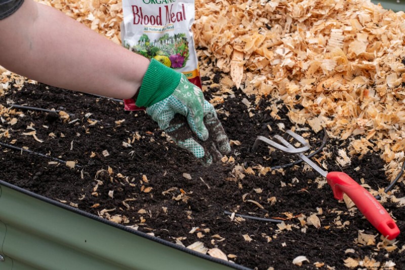 Grow Spinach Successfully: Avoid Bolting & Pests - Expert Tips