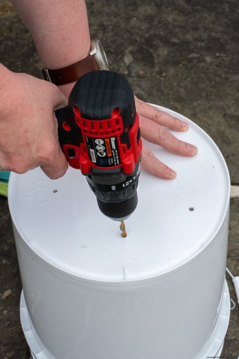 Grow Potatoes in a 5-Gallon Bucket: A Beginner s Guide