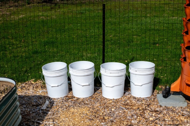 Grow Potatoes in a 5-Gallon Bucket: A Beginner s Guide