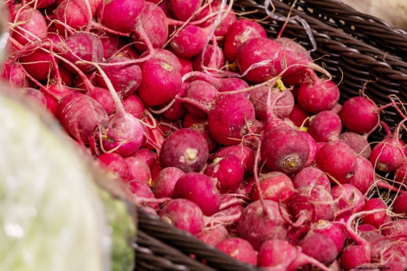 Avoid Common Spring Planting Mistakes: A Gardener s Guide