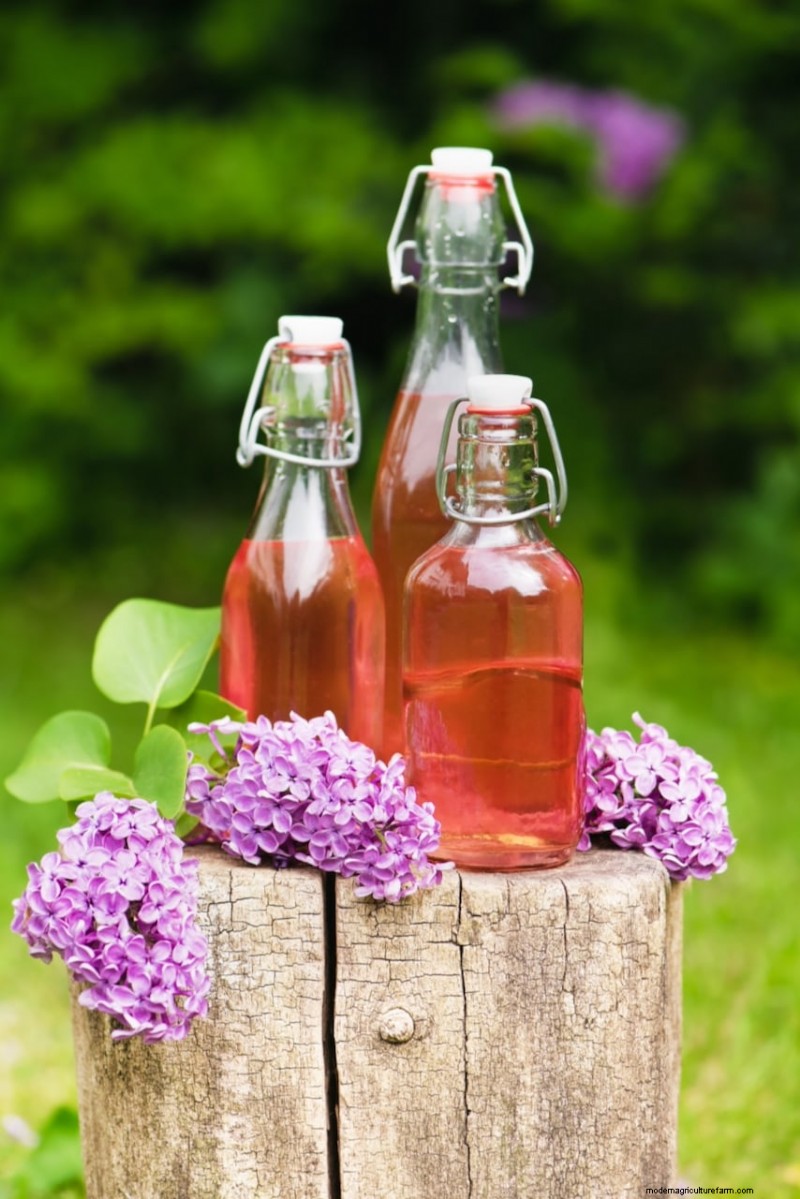 Unlock Hidden Garden Bounty: 20 Unexpected Harvests