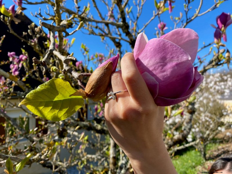 Unlock Hidden Garden Bounty: 20 Unexpected Harvests