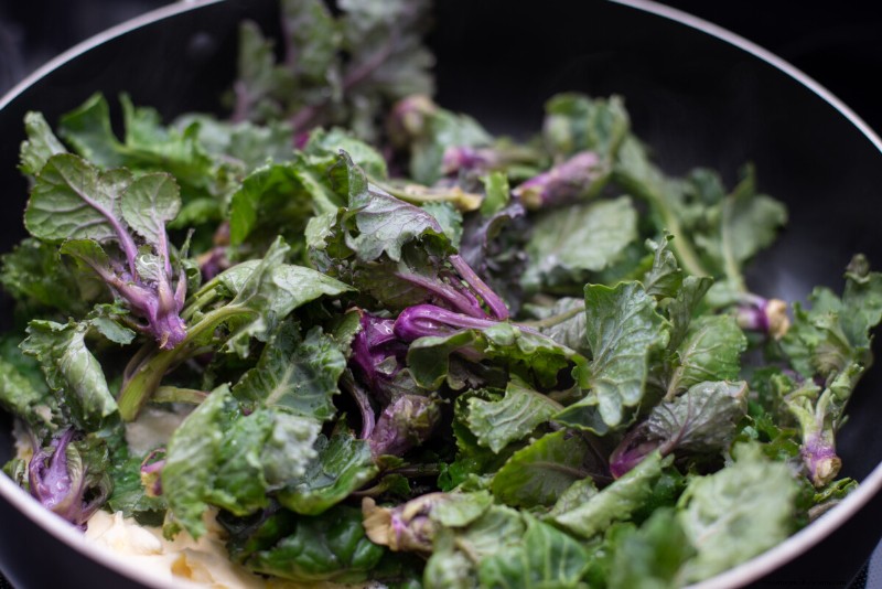 Kalettes: A Superior Kale Hybrid for Easier Cooking & Flavor