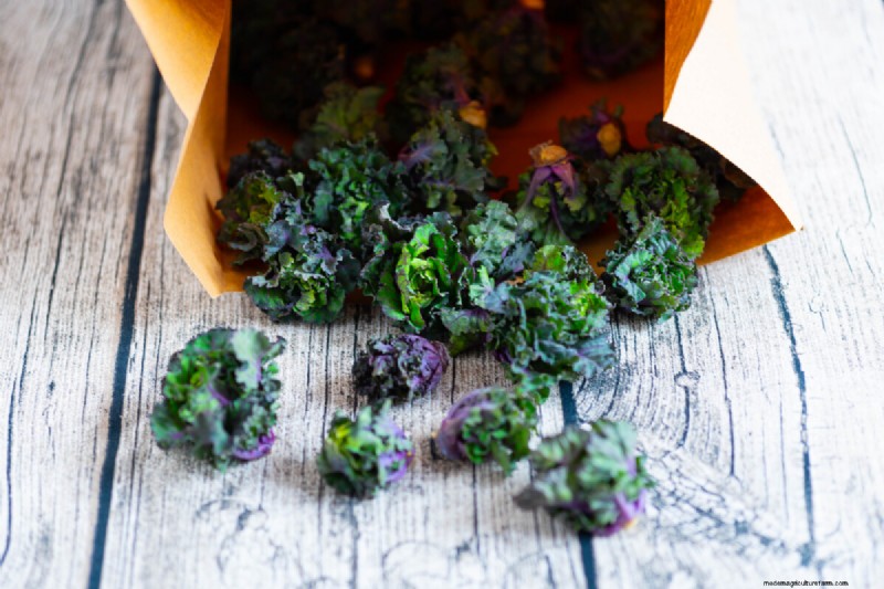 Kalettes: A Superior Kale Hybrid for Easier Cooking & Flavor