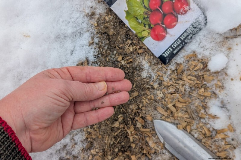 Direct Sowing: 27 Seeds to Plant Before the Last Frost