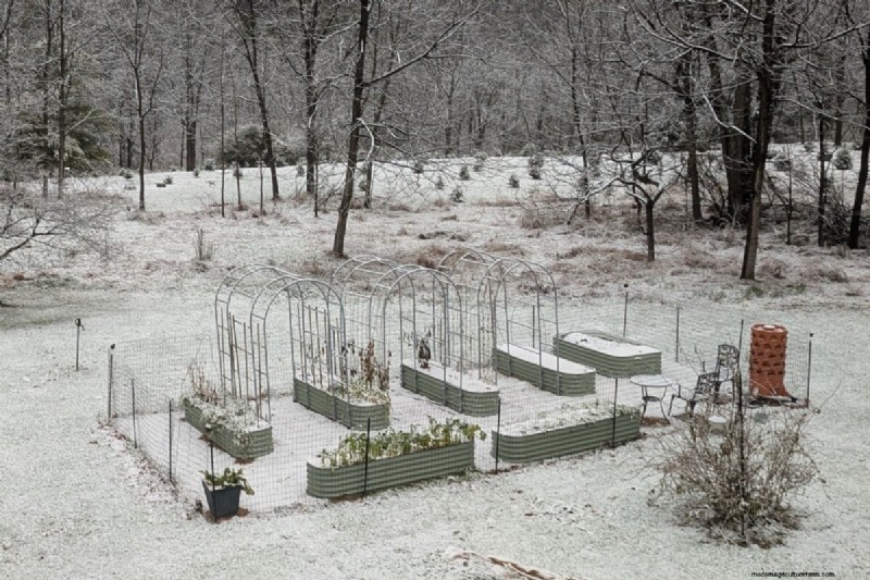 Direct Sowing: 27 Seeds to Plant Before the Last Frost